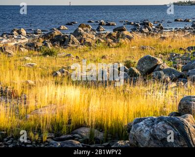 Große Steine an der ostseeküste mit gelbem Gras ein sonniger Herbsttag mit schwarz blauem Meereshorizont Stockfoto