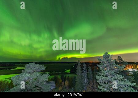 Blick vom skandinavischen Hügel zum leuchtend grünen aurora-licht fast am ganzen Himmel über Baumkronen in Schweden, Fluss, klarer Himmel mit vielen Sternen, pi Stockfoto