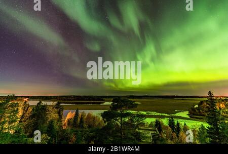 Schöne Aussicht vom skandinavischen Hügel auf hellgrün Nordlichter fast auf ganzen Himmel über Baumkronen, Fluss, klarer Himmel mit Sternen, grünes aurora Stockfoto