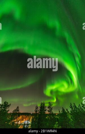 Hellgrüne aurora leuchtet fast am ganzen Himmel über Baumkronen in Schweden, Fluss, Stadtlichter und See, klarer Himmel mit vielen Sternen, Kiefern Stockfoto