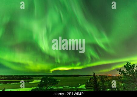 Blick vom skandinavischen Hügel zum leuchtend grünen aurora-licht fast am ganzen Himmel über Baumkronen in Schweden, Fluss, klarer Himmel mit vielen Sternen, pi Stockfoto