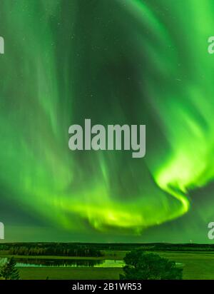 Blick vom skandinavischen Hügel zum leuchtend grünen aurora-licht fast am ganzen Himmel über Baumkronen in Schweden, Fluss, klarer Himmel mit vielen Sternen, pi Stockfoto