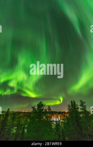 Blick vom skandinavischen Hügel zum leuchtend grünen aurora-licht fast am ganzen Himmel über Baumkronen in Schweden, Fluss, klarer Himmel mit vielen Sternen, pi Stockfoto