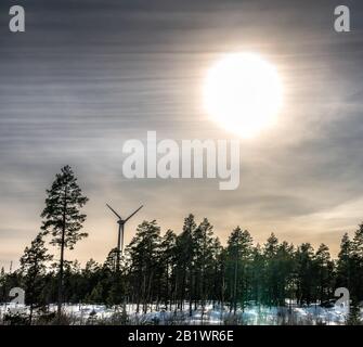 Foto der Windmühle im winterlichen Kiefernwald, blauer Himmel, nebelige Wintersonne, Schweden Stockfoto