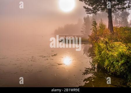 Wunderschöne goldene Sonne leuchtet durch Nebel am See während des frühen Sonnenaufgangs, lange Holzbrücke, Boot, Bäume, Himmel Reflexion in ruhigem Wasser, Copy Space Stockfoto