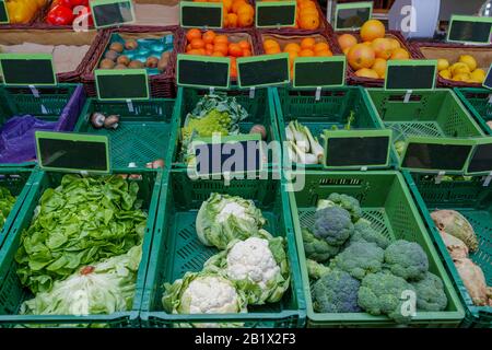 Blick auf verschiedene Gemüse- und Obstsorten, die in einer Reihe grüner Plastikkorb vor dem Verkaufsstand im Freien auf dem Bauernmarkt verkauft werden. Stockfoto