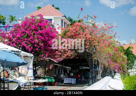 Paseo Esteban Huertas, eine berühmte Promenade in Casco Viejo nahe der Plaza de Francia in Panama-Stadt Stockfoto