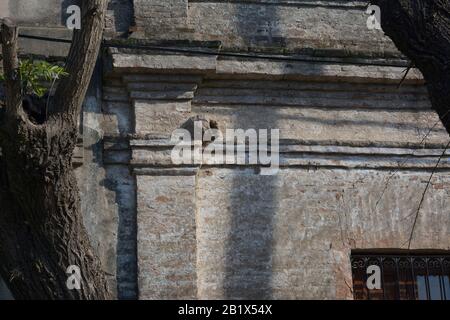 Aires de Campo pampeano Stockfoto