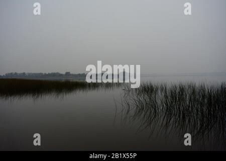 Aires de Campo pampeano Stockfoto