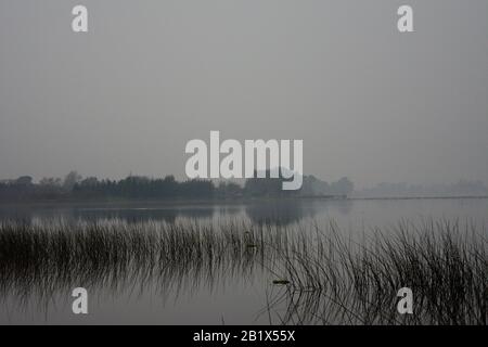 Buenos Aires de Campo en Invierno Stockfoto