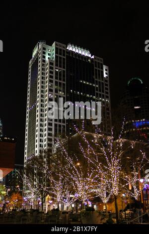 Bürogebäude und Bäume in Uptown Charlotte, North Carolina, die in Weihnachtslichtern für die Weihnachtszeit dekoriert sind. Stockfoto