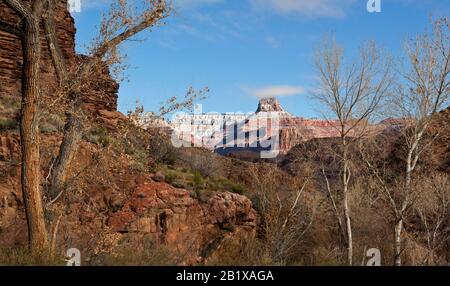 Blick auf Sumner Butte und den schneebedeckten Nordrand zwischen den Bäumen auf dem Hellen Angel Trail, Grand Canyon National Park Stockfoto