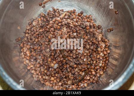 Gesunde Ernährung, Ernährung, Konzept vegane Proteinquelle. Rohstoff von Hülsenfrüchten (Karotten, rote Linsen, Pfeffer, Kartoffel). Draufsicht. Stockfoto