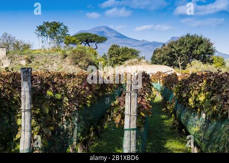 Italien, POMPEI - ÜLG 19, 2019: Alte römische Stadt, die durch den Ausbruch des Vesuvs im Jahr 79 zerstört wurde. Pompeji gehört zum UNESCO-Weltkulturerbe. Stockfoto