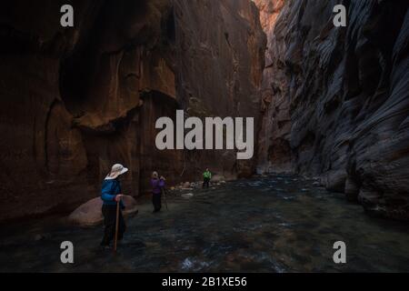 Eine Familie, die im Zion National Park die Verendigungen wandert, führt die Wanderung durch Schlitzkanonen und durch einen Bach an ihrem Grund. Stockfoto