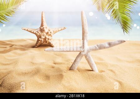Star-fish On Sandy Tropical Beach Near Water Stockfoto
