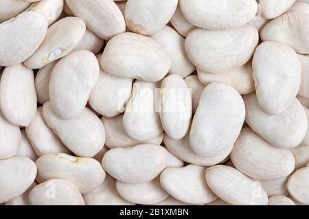 Hintergrund der Struktur von Lima Bean. Große Bohnen mit einem butterigen Geschmack und stärkehaltiger Textur. Stockfoto