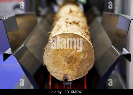 Holzlochschälung mit Entsperrmaschine. Selektiver Fokus. Stockfoto