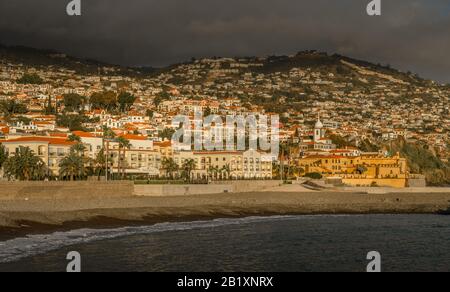 Stadtpanorama, Altstadt, Funchal, Madeira, Portugal Stockfoto