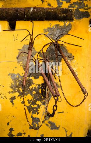 Anker, Hafen, Forte De Sao Tiago, Altstadt, Funchal, Madeira, Portugal Stockfoto