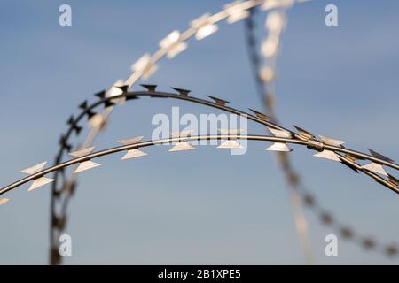 Detailansicht/isolierte Ansicht auf scharfem, gebogenem Rasierdraht. Blauer Hintergrund (Himmel). Einsatz an Grenzen, Flughäfen, Strafvollzugslagern, Militärstützpunkten. Stockfoto