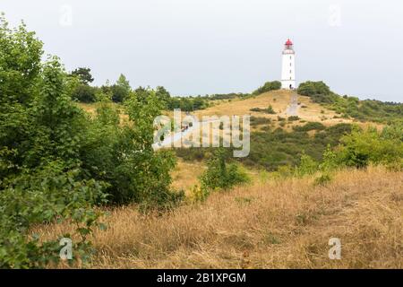 Leuchtturm Dornbusch auf der Insel Hiddensee. Büsche und Grünland im Vordergrund. Der Leuchtturm nahm seinen Betrieb im Jahr 1888 auf. Stockfoto