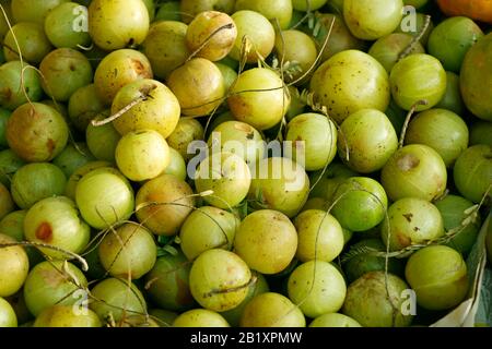 Indische Stachelbeeren. AMLA-Fruchtextrakt verringert die Blutglukose.Hat antivirale und antimikrobielle Eigenschaften. Wird in ayurvedischen Medikamenten verwendet. Grün col Stockfoto