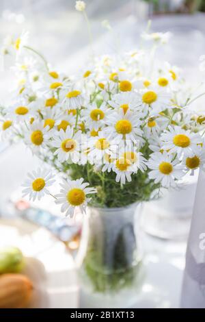 Blumenstrauß aus den Kämmchen am Fensterschweller. Frühling oder Sommer Saison Morgen-Innenkonzept Stockfoto