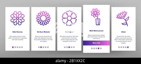 Chrysanthemum Blume Onboarding Icons Set Vector Stock Vektor