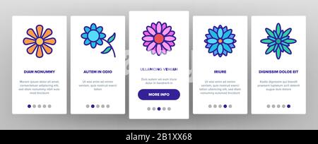 Chrysanthemum Blume Onboarding Icons Set Vector Stock Vektor