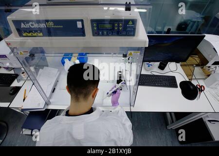 David Arancon, wissenschaftlicher Mitarbeiter, verteilt Komponentenbestandteile des Primerdesign Coronavirus COVID-19-Nachweiskits in den Primerdesign Büros Stockfoto