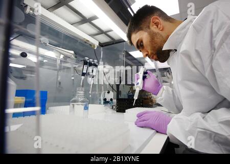 David Arancon, wissenschaftlicher Mitarbeiter, verteilt Komponentenbestandteile des Primerdesign Coronavirus COVID-19-Nachweiskits in den Primerdesign Büros Stockfoto