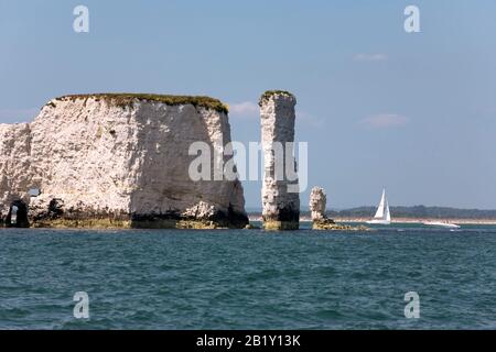 Old Harry Rocks, Handfast Point, Dorset aus Seaward Stockfoto