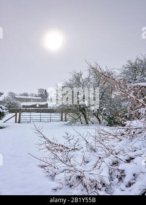 Bewerley, Harrogate, North Yorkshire, England, Großbritannien. 24/02/20. Ein plötzlicher & schwerer, nasser Schneefall auf Moorflächen in Nidderdale macht schwierige Bedingungen aus Stockfoto