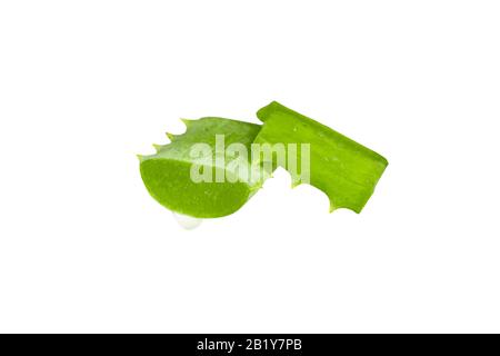 Aloe Vera Scheibe mit Tropfen isoliert auf weißem Hintergrund. Stockfoto