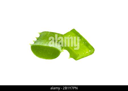 Nahaufnahme der Schicht "Aloe vera" auf weißem Hintergrund. Stockfoto