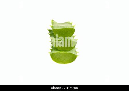 Nahaufnahme des grünen Schichtmakros der Aloe Plant auf weißem Hintergrund mit Copyspace isoliert. Stockfoto