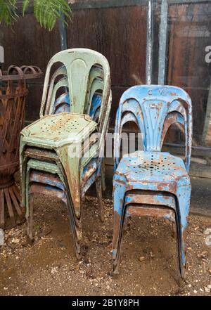 Café im Gewächshaus in den Petersham-Kindergärten in Richmond, West London. Stockfoto