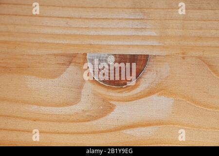 Studio mit einer Oberfläche aus abgetrennten Holzplatten, die wie ein Auge aussieht Stockfoto