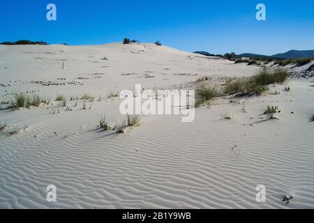 Blick auf die weißen Dünen von Is Arenas Biancas, Teulada Stockfoto