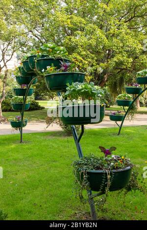 Viele Blumentöpfe im Park, Garten- und Landschaftsdesign. Stockfoto