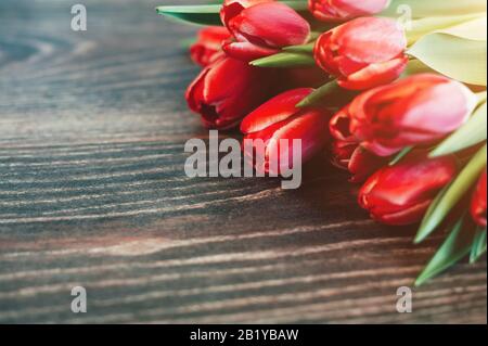 Rote Tulpen auf dunklem Holzhintergrund Stockfoto