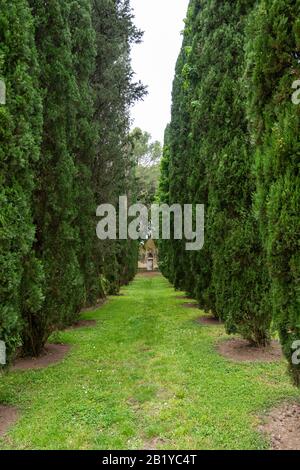 Grüner Weg zwischen den Zypressen und einem kleinen Haus auf der gegenüberliegenden Seite. Stockfoto