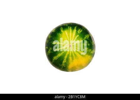 Unterseite der Wassermelone isoliert auf weißem Hintergrund. Gelber Fußabdruck vom liegen auf dem Boden Stockfoto