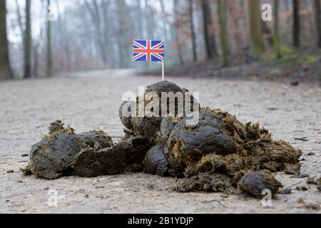 Die Flagge Großbritanniens hält sich in Pferdekot Stockfoto