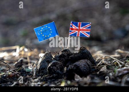 EU und britische Flagge bleiben im Hundeschmutzig Stockfoto