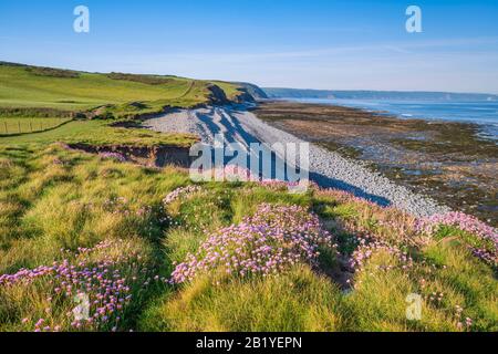South West Coastal Path, Abbotsham-Klippen, Meereswellen, Klippen, Meer, North Devon, Großbritannien Stockfoto