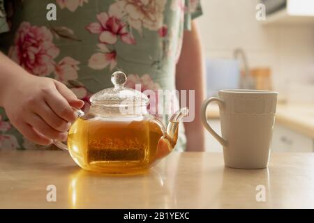 Glastee mit grünem Rooibos-Tee Stockfoto