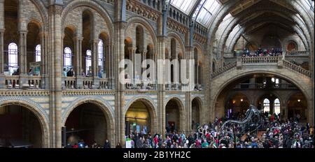 Großbritannien, England, London, Natural History Museum Stockfoto
