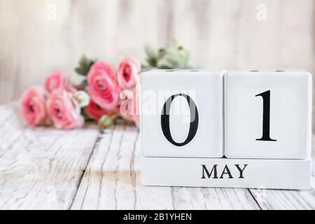 Weiße Holzkalendarkaden mit dem Datum 1. Mai. Selektiver Fokus mit pinkfarbenem Ranunculus im Hintergrund über einem Holztisch. Stockfoto